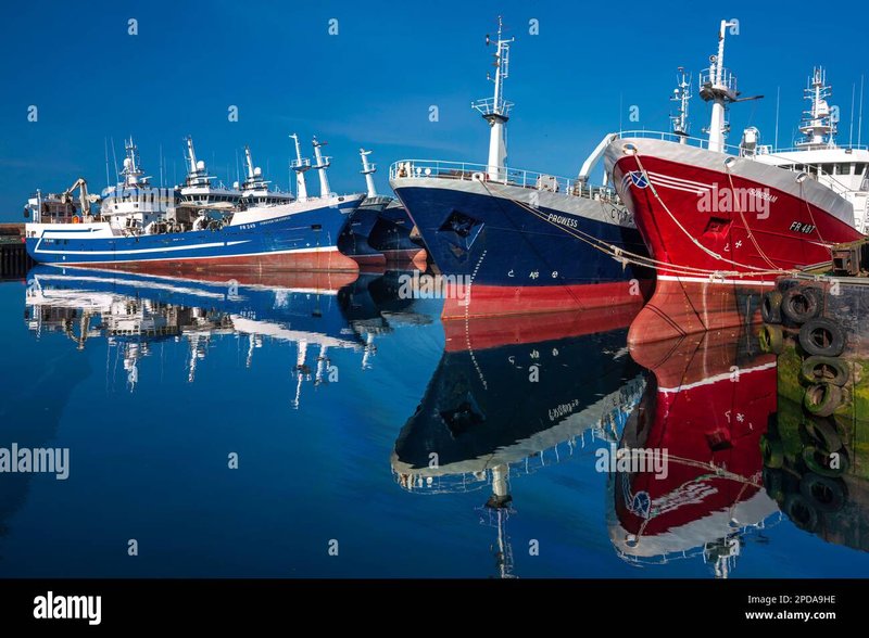 Experience the Thrill of Ice Fishing in Live Casino UK Today