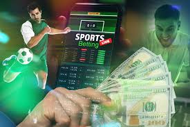 Tout savoir sur Betwinner  paris sportifs et plus encore