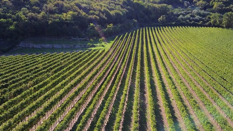 Il Mio Esperienza con Spin Winera: Un Gioco di Casino Italiano Popolare