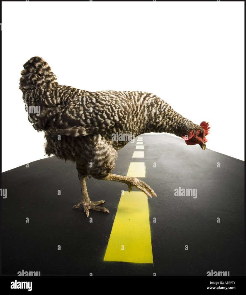 Discover chicken road